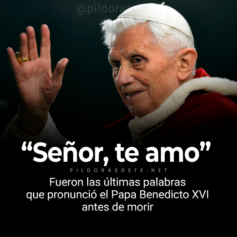 Señor, te amo, fueron las últimas palabras que pronunció el Papa Benedicto XVI antes de morir